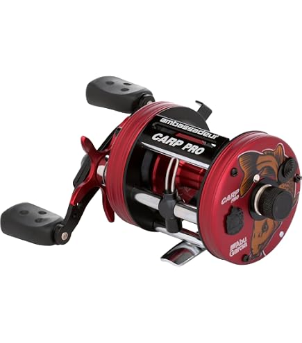 Amazon.com : AbuGarcia Ambassadeur 6500C Rocket Silver Right